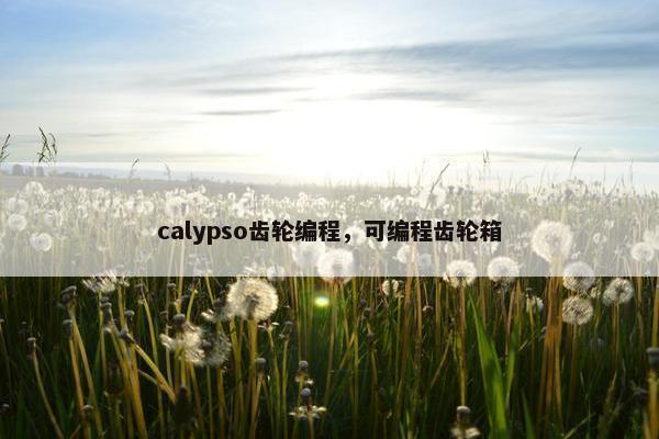 calypso齿轮编程，可编程齿轮箱