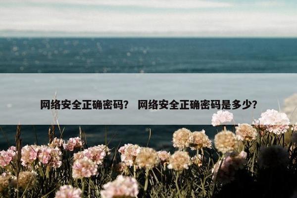 网络安全正确密码？ 网络安全正确密码是多少？