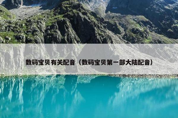 数码宝贝有关配音（数码宝贝第一部大陆配音）