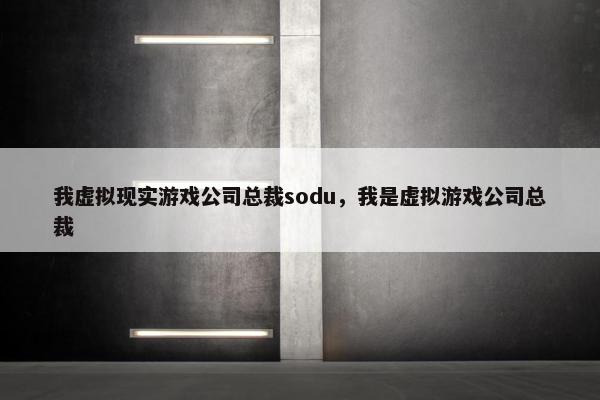 我虚拟现实游戏公司总裁sodu，我是虚拟游戏公司总裁