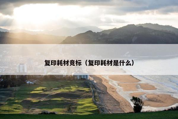 复印耗材竞标（复印耗材是什么）