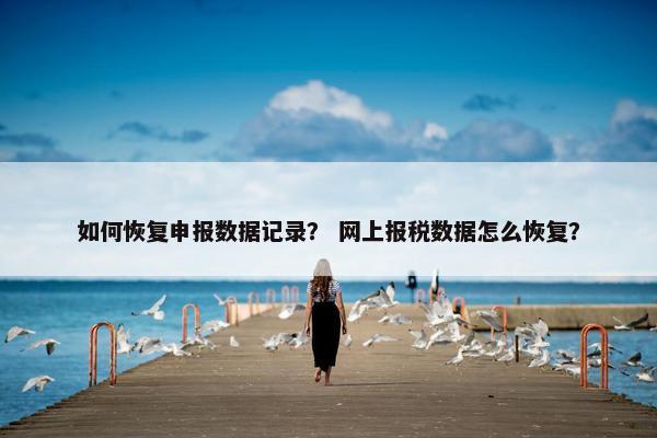 如何恢复申报数据记录？ 网上报税数据怎么恢复？