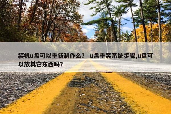 装机u盘可以重新制作么？ u盘重装系统步骤,u盘可以放其它东西吗？