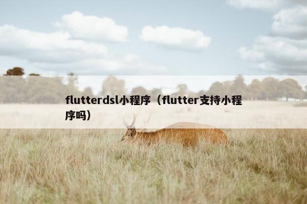 flutterdsl小程序（flutter支持小程序吗）