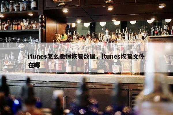 itunes怎么撤销恢复数据，itunes恢复文件在哪