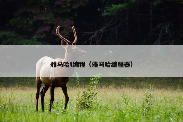 雅马哈t编程（雅马哈编程器）