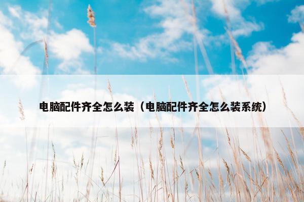 电脑配件齐全怎么装（电脑配件齐全怎么装系统）