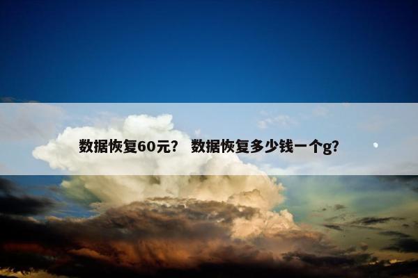 数据恢复60元？ 数据恢复多少钱一个g？