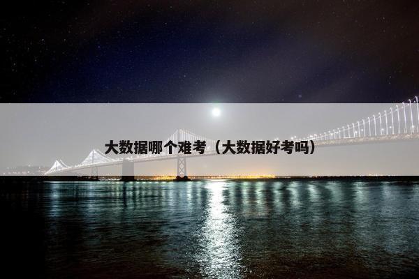 大数据哪个难考（大数据好考吗）