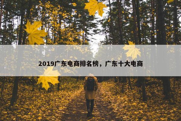 2019广东电商排名榜，广东十大电商