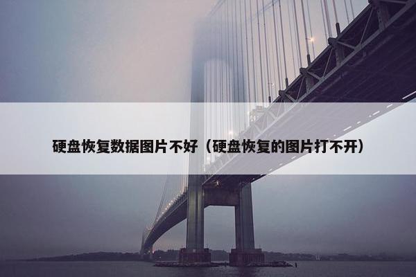 硬盘恢复数据图片不好（硬盘恢复的图片打不开）