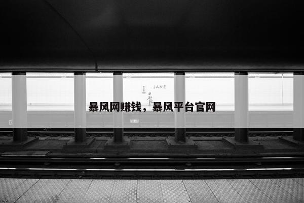 暴风网赚钱，暴风平台官网