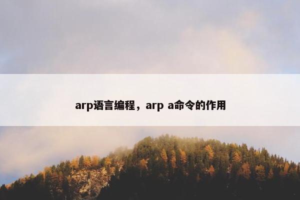 arp语言编程，arp a命令的作用