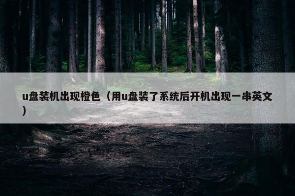 u盘装机出现橙色（用u盘装了系统后开机出现一串英文）
