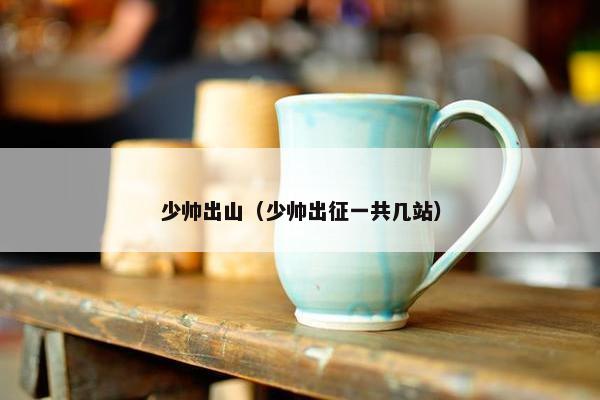 少帅出山（少帅出征一共几站）
