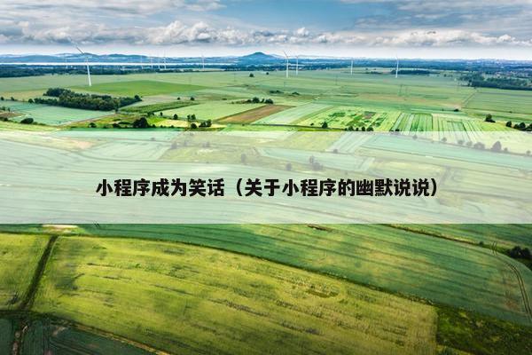 小程序成为笑话（关于小程序的幽默说说）
