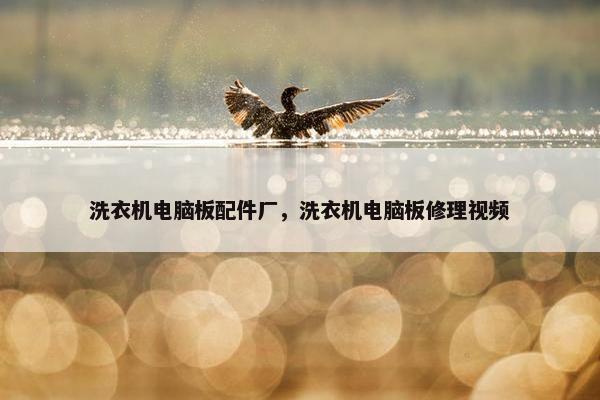 洗衣机电脑板配件厂，洗衣机电脑板修理视频