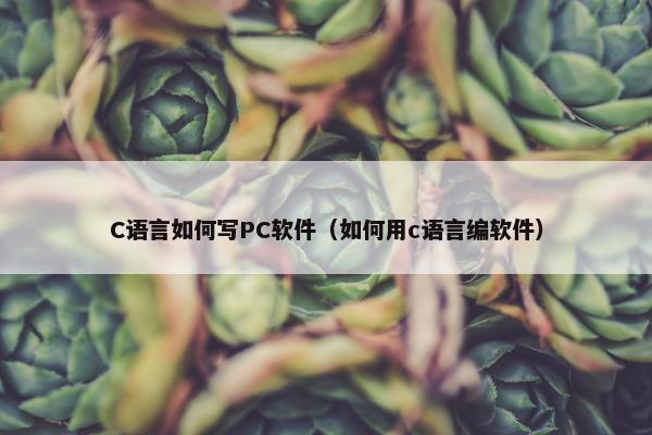C语言如何写PC软件（如何用c语言编软件）