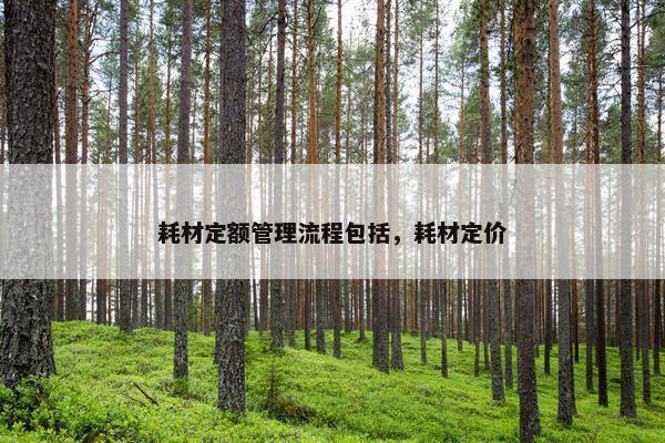 耗材定额管理流程包括，耗材定价