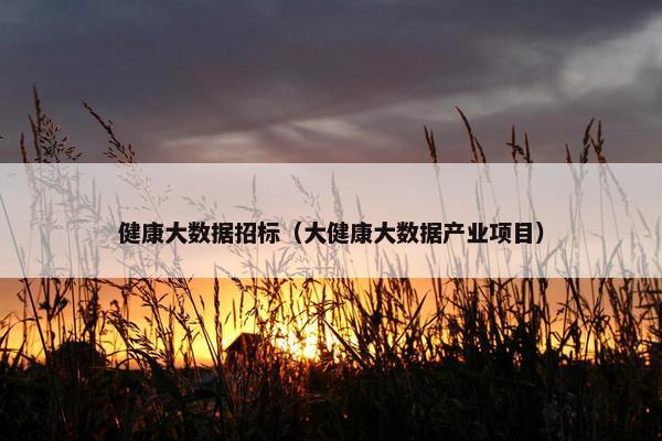 健康大数据招标（大健康大数据产业项目）