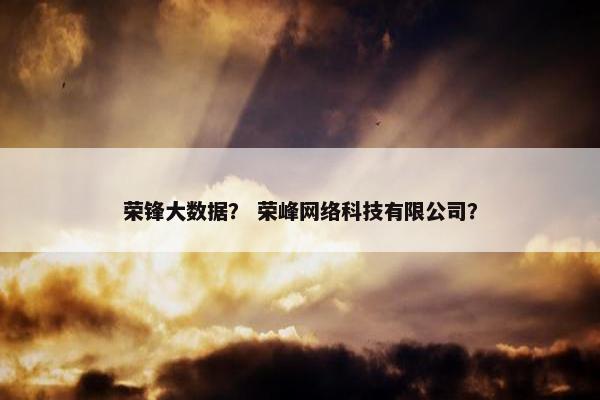 荣锋大数据？ 荣峰网络科技有限公司？