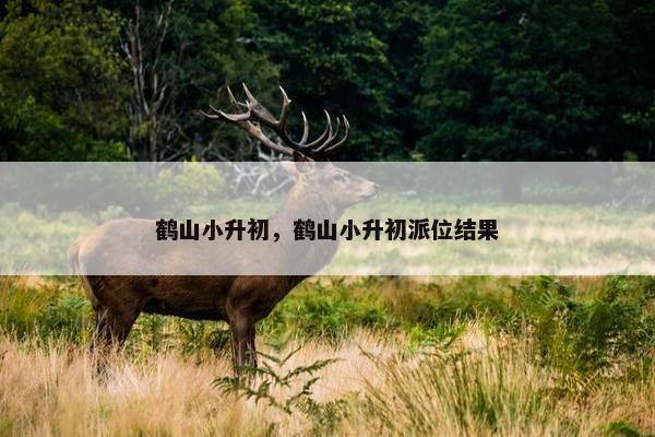 鹤山小升初，鹤山小升初派位结果
