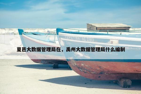 夏邑大数据管理局在，禹州大数据管理局什么编制
