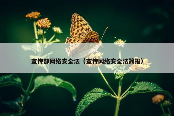 宣传部网络安全法（宣传网络安全法简报）