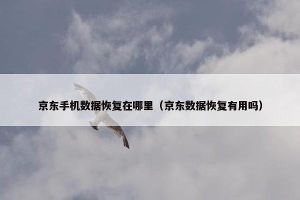 京东手机数据恢复在哪里（京东数据恢复有用吗）