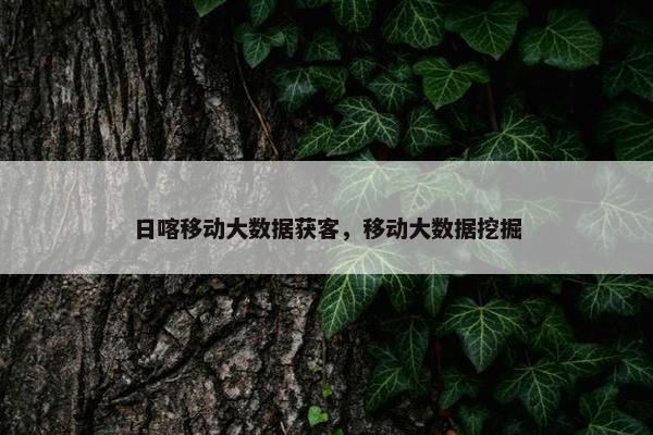 日喀移动大数据获客，移动大数据挖掘