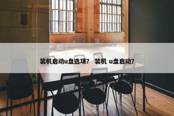 装机启动u盘选项？ 装机 u盘启动？
