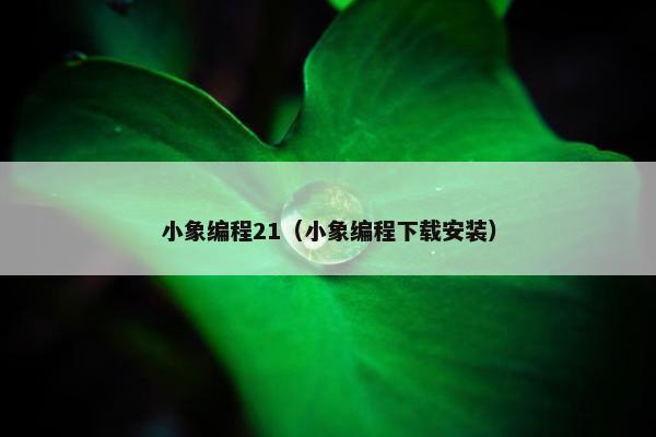 小象编程21（小象编程下载安装）