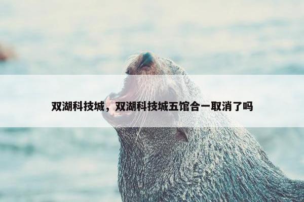 双湖科技城，双湖科技城五馆合一取消了吗