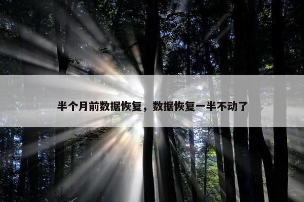 半个月前数据恢复，数据恢复一半不动了