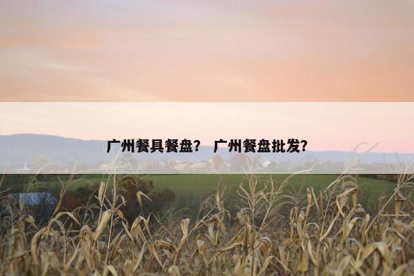广州餐具餐盘？ 广州餐盘批发？