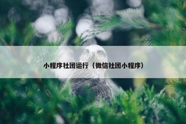 小程序社团运行（微信社团小程序）
