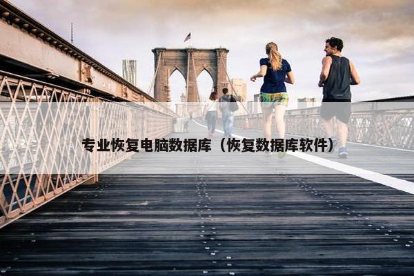 专业恢复电脑数据库（恢复数据库软件）