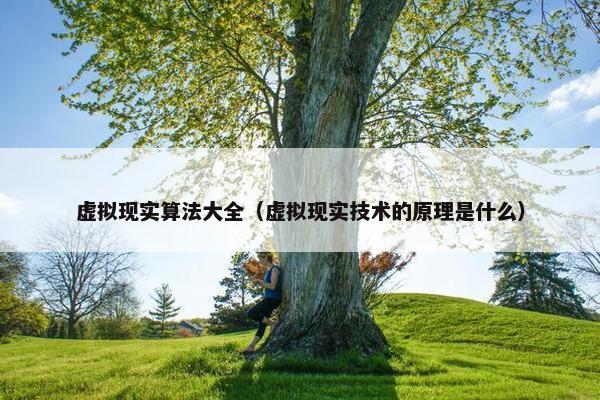 虚拟现实算法大全（虚拟现实技术的原理是什么）