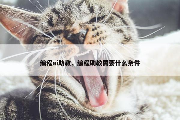 编程ai助教，编程助教需要什么条件