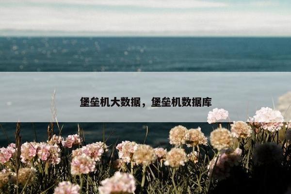堡垒机大数据，堡垒机数据库