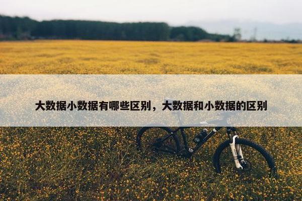 大数据小数据有哪些区别，大数据和小数据的区别