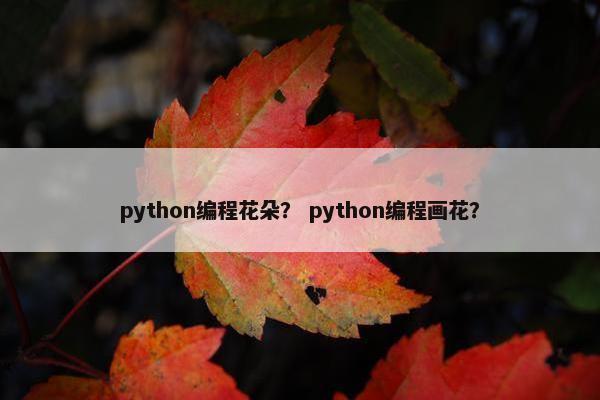 python编程花朵？ python编程画花？