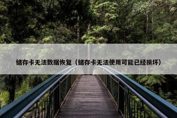储存卡无法数据恢复（储存卡无法使用可能已经损坏）