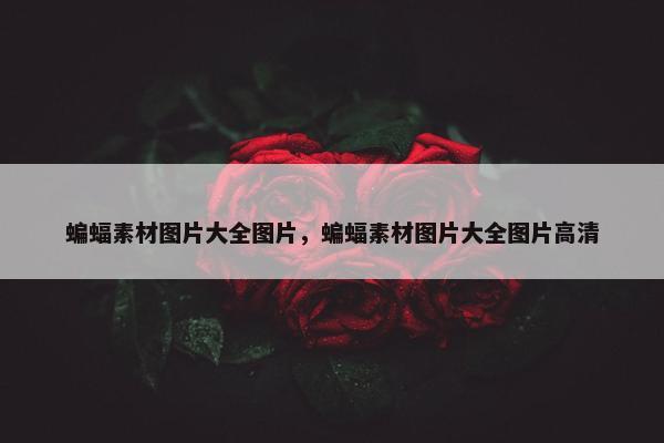 蝙蝠素材图片大全图片，蝙蝠素材图片大全图片高清