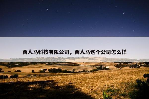 西人马科技有限公司，西人马这个公司怎么样