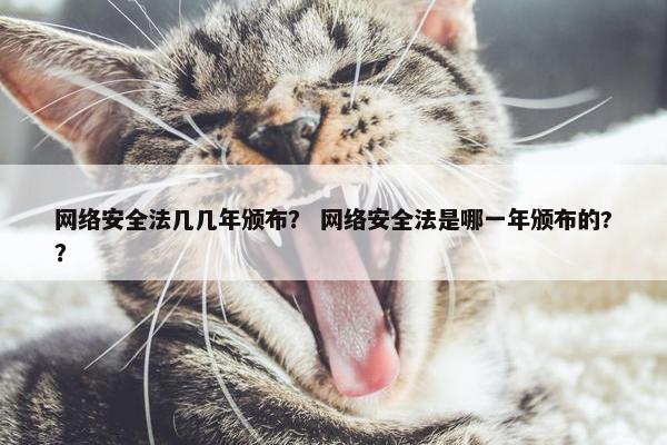 网络安全法几几年颁布？ 网络安全法是哪一年颁布的?？