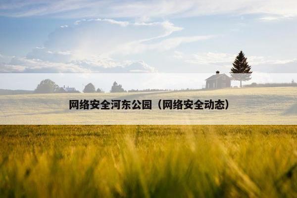 网络安全河东公园（网络安全动态）
