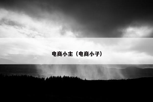 电商小主（电商小子）