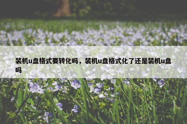 装机u盘格式要转化吗，装机u盘格式化了还是装机u盘吗