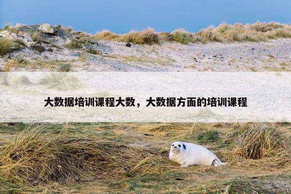 大数据培训课程大数，大数据方面的培训课程